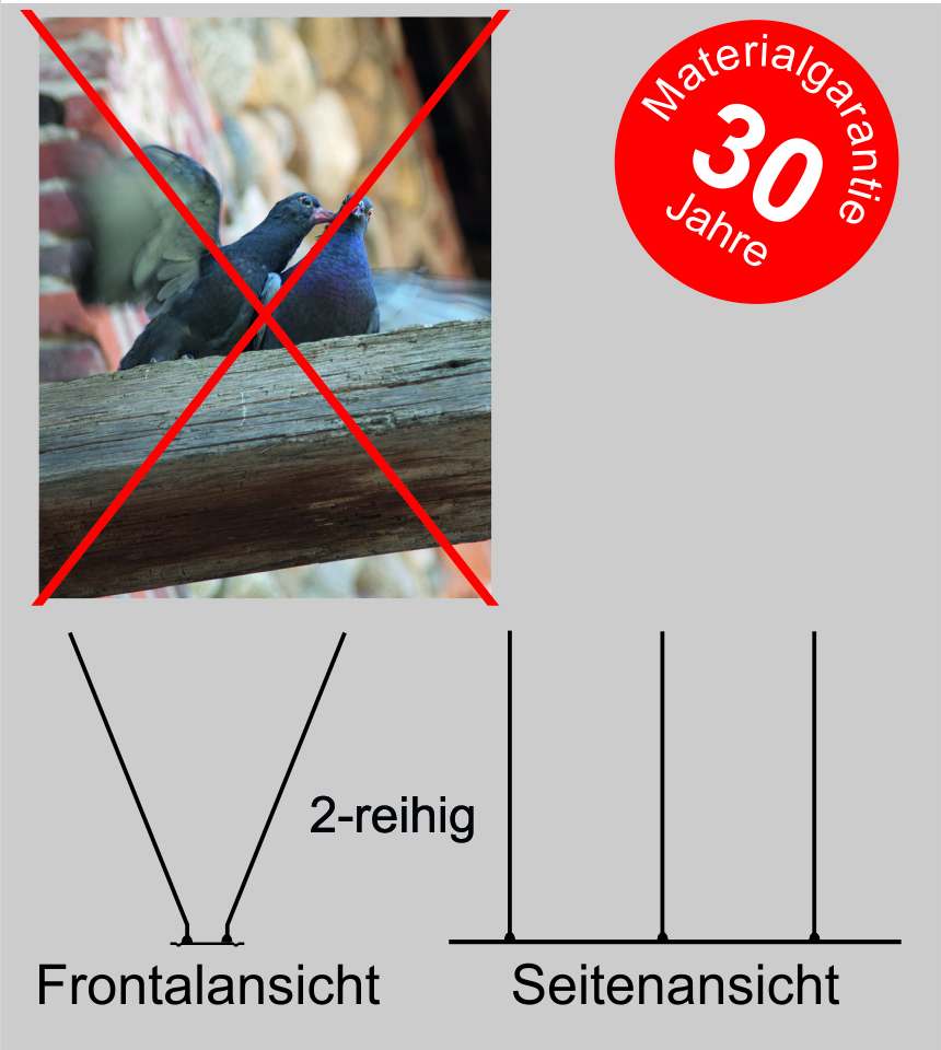 Taubenabwehr  SPIKE       
