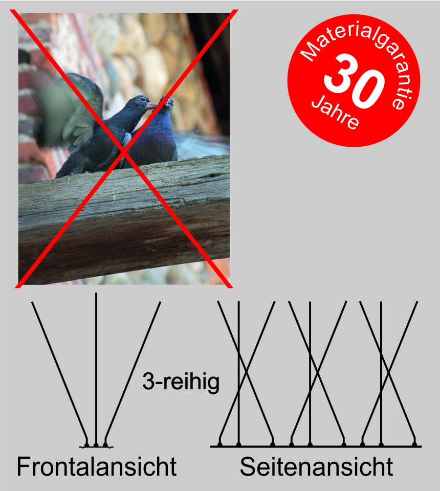 Display Taubenabwehr SPIKE